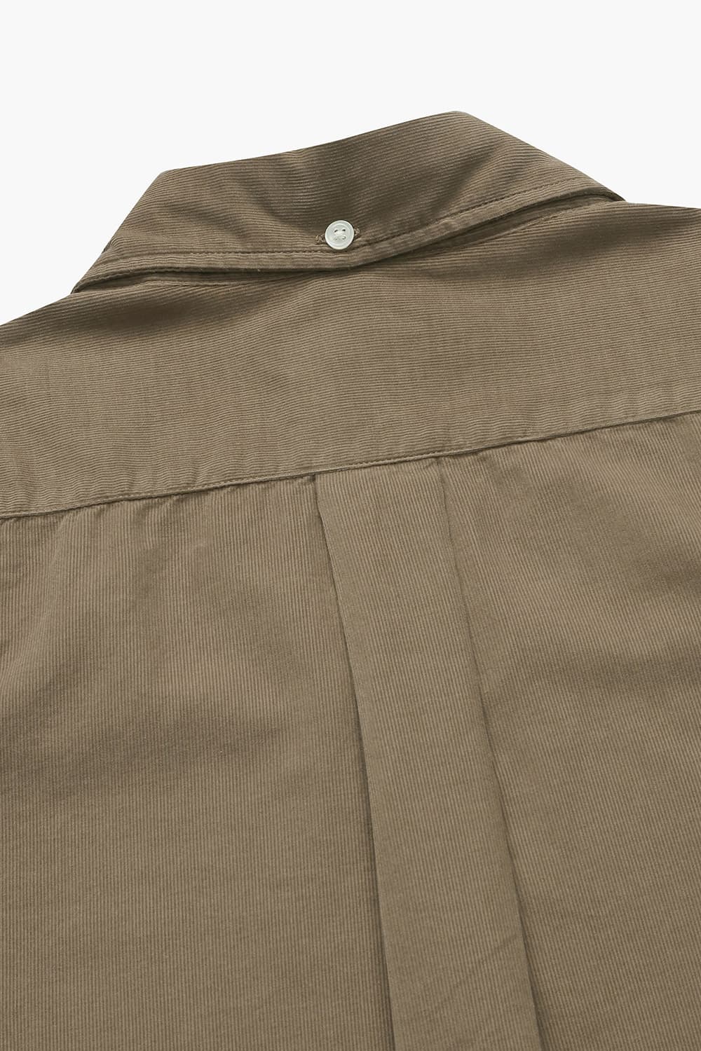 코튼 100 PITT PAT 셔츠 브라운 QE4FMHTSH110Q85