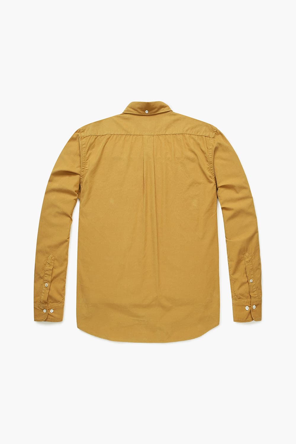 코튼 100 PITT PAT 셔츠 오렌지 QE4FMHTSH110Q40