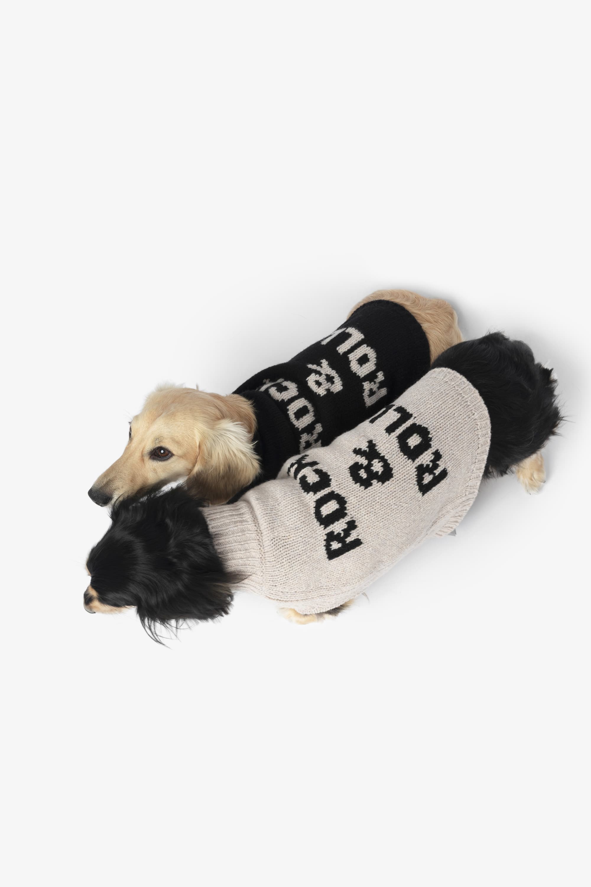 Zadog Wool Sweater