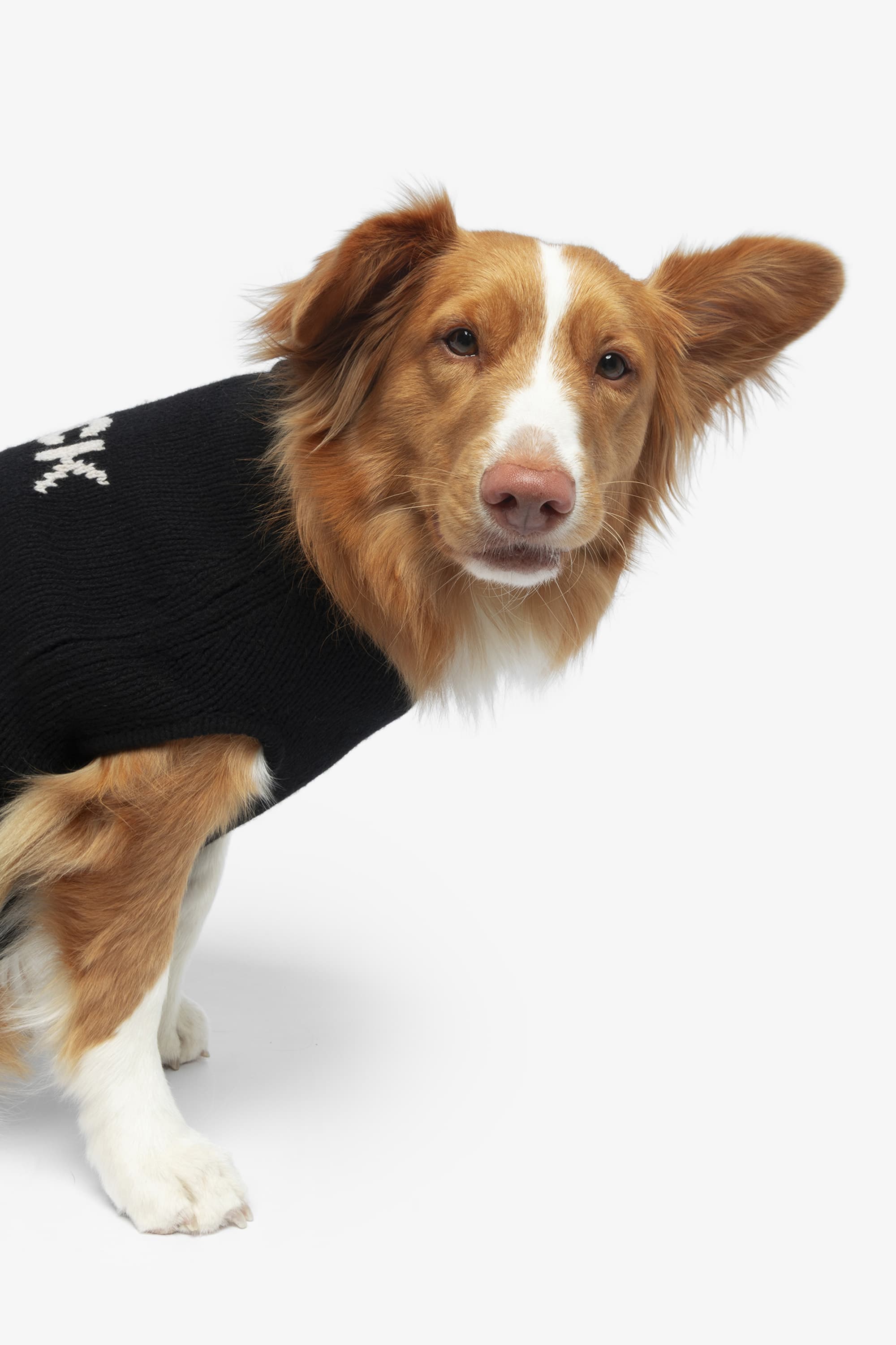 Zadog Wool Sweater