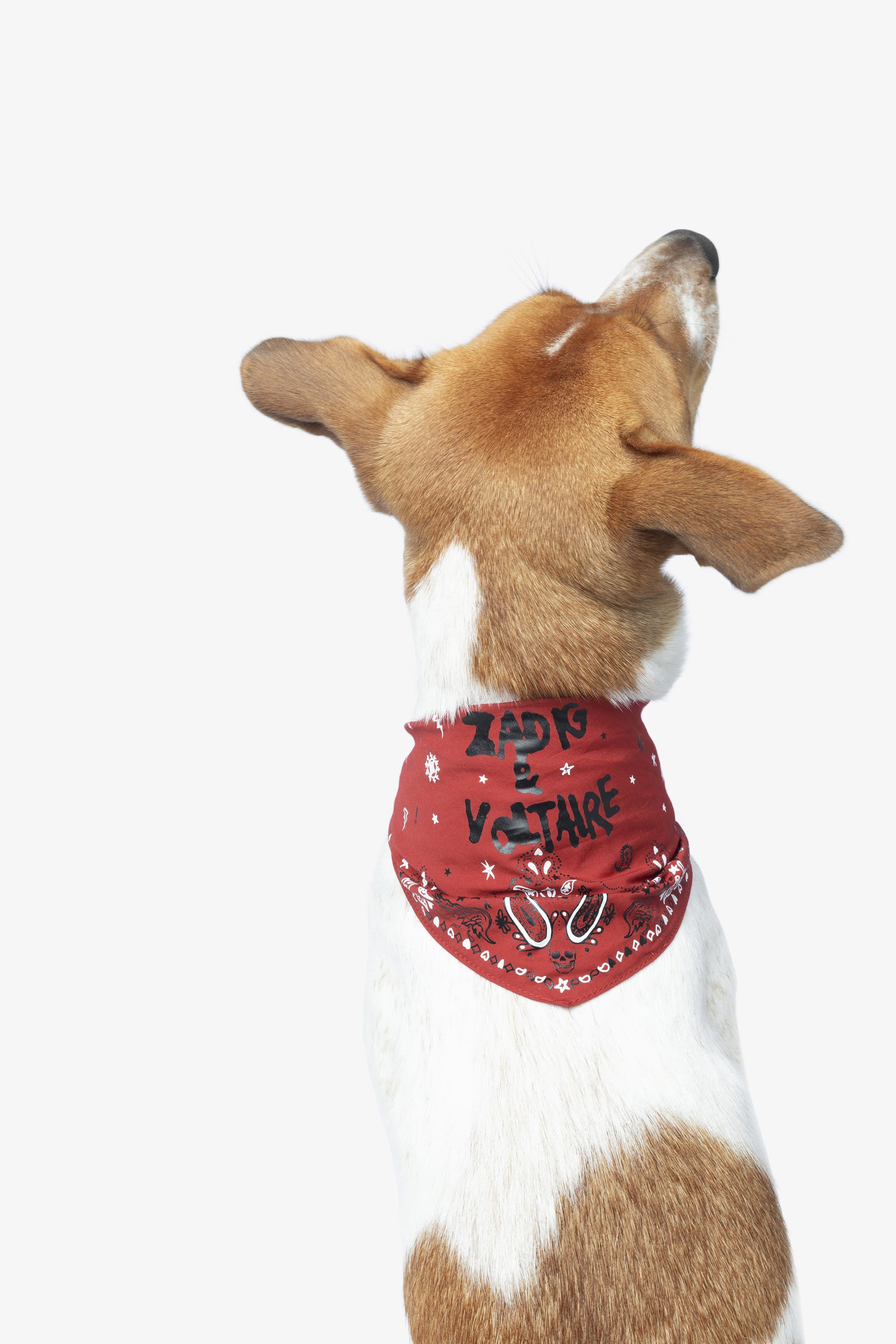 [판매예정] Zadog Bandana
