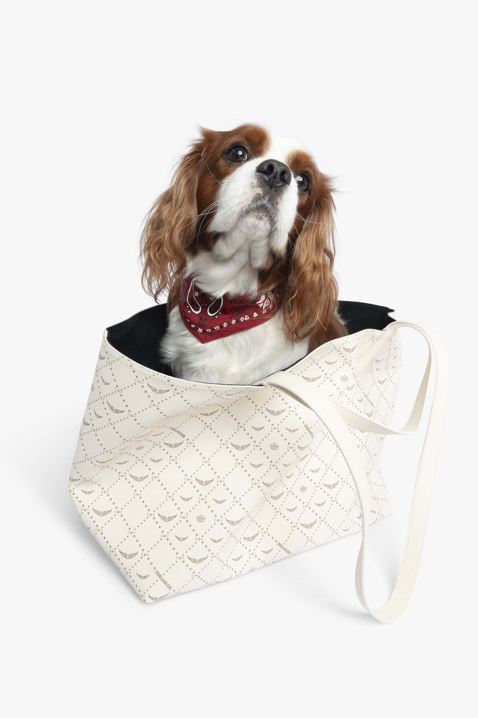 [판매예정] Zadog Bandana