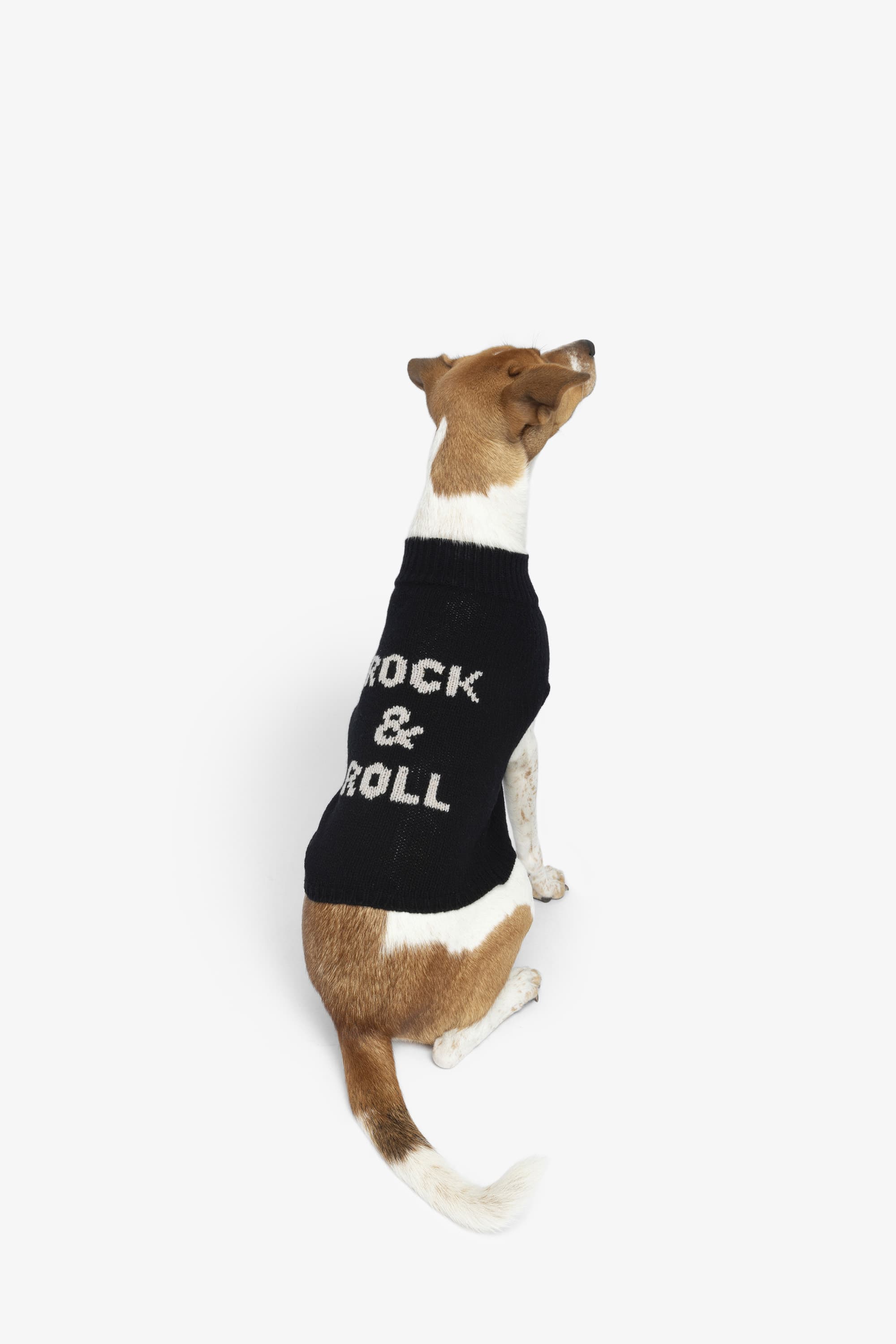Zadog Wool Sweater
