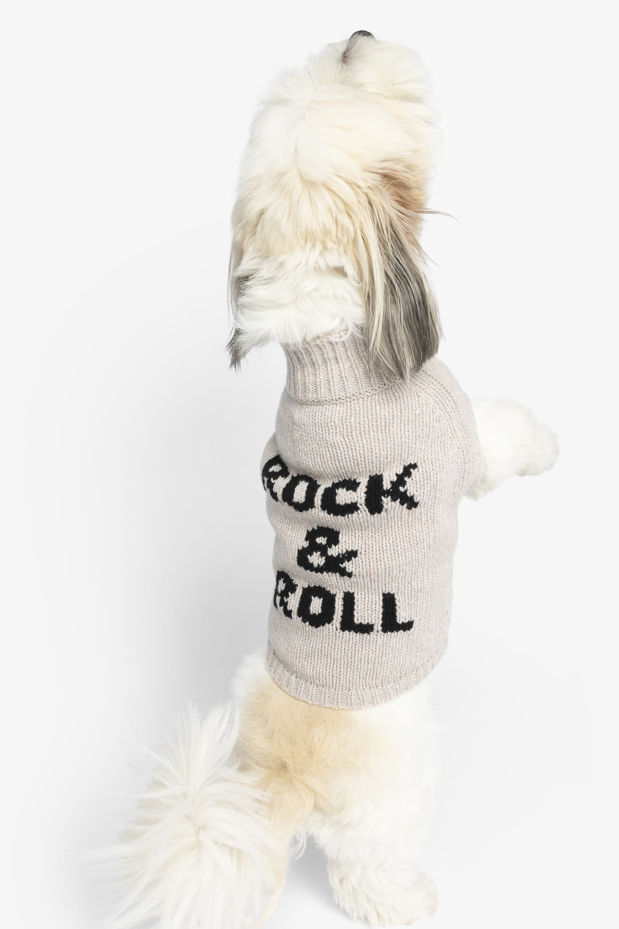 Zadog Wool Sweater